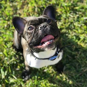 Meet your Posher, Andres